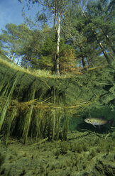 Österreich, Tirol, Fernstseinsee - GNF00896