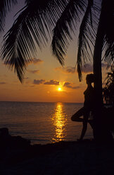 Woman Standing By Palm Tree - GNF00891