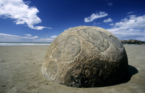 New Zealand, South Island, Moeraki Boulders on beach, close-up - GNF00869