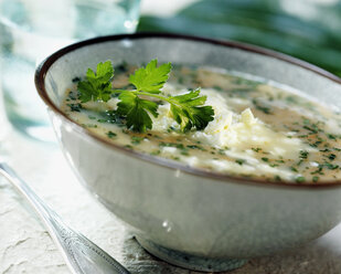 Vegetable soup, close-up - CHKF00437