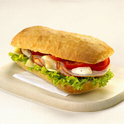 Sandwich mit Käse und Truthahn - CHKF00382