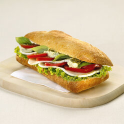 Sandwich mit Tomate und Mozzarella - CHKF00381