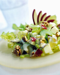 Leaf salad, close-up - CHKF00377