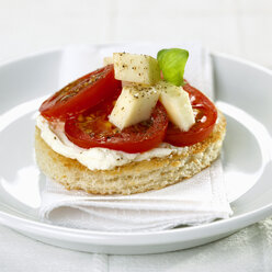 Canape mit Tomate und Mozzarella - CHKF00341