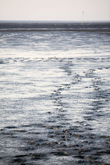 Spuren im nassen Sand - CHKF00310