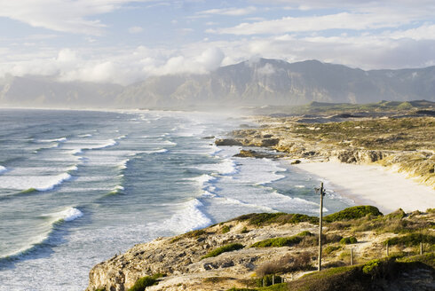 South Africa, Gansbaai, Walker Bay Nature 'Reserve - SHF00149