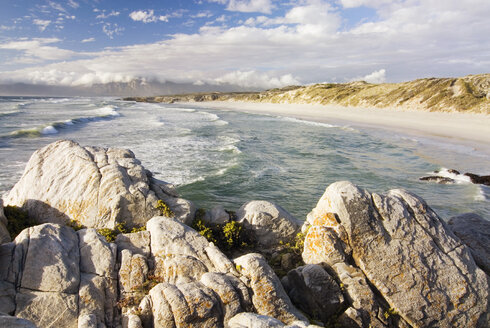 South Africa, Gansbaai, Walker Bay Nature Reserve - SHF00148