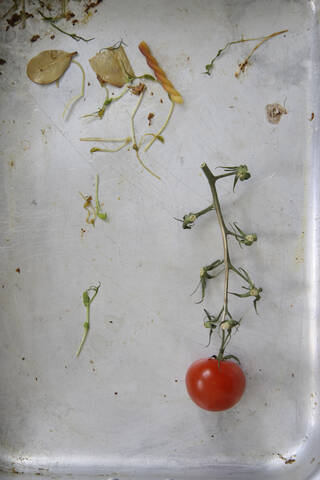 Tomate im Schmortopf, Nahaufnahme, lizenzfreies Stockfoto