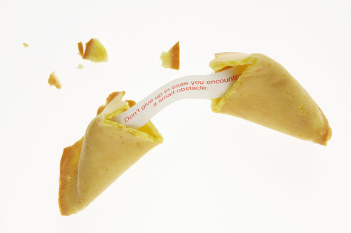 Fortune cookie, close-up - THF00539