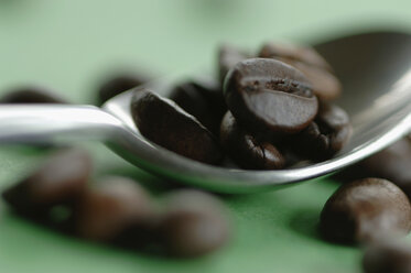 Roasted coffee beans on spoon, close-up - ASF03167