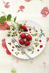 Erdbeertörtchen auf Teller, Nahaufnahme - 06785CS-U