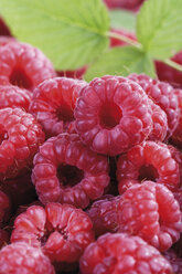 Fresh raspberries, close-up - 06862CS-U