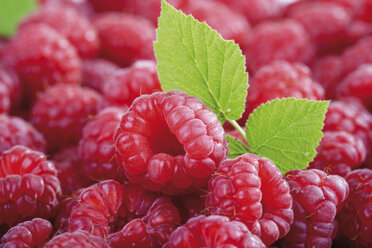 Fresh raspberries, close-up - 06861CS-U