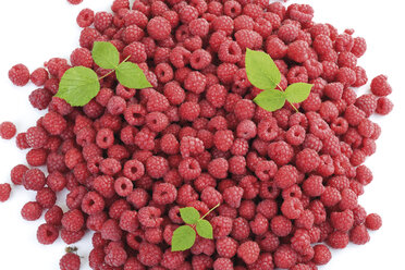 Frische Himbeeren, Nahaufnahme - 06860CS-U