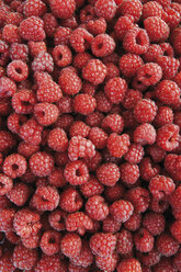 Fresh raspberries, close-up - 06859CS-U