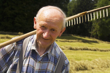 Austria, Salzburger Land, hay harvest - HHF01519