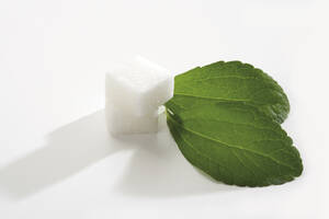 Stevia and sugar cube, close-up - 06952CS-U