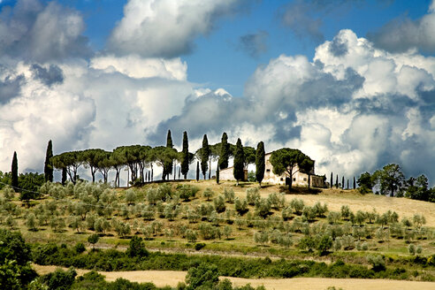 Italien, Toskana, Landschaft - MAEF00419