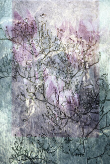 Collage mit Form einer Blume, Nahaufnahme - TLF00169