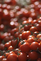 Tomaten am Marktstand, Nahaufnahme - TLF00158