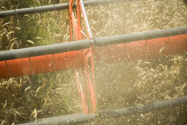 Germany, Bavaria, Combine Harvesting Wheat, close-up - MAEF00437