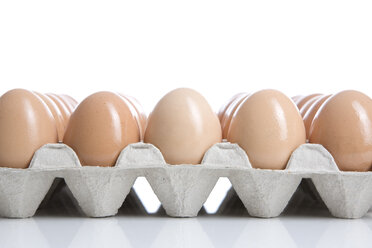 Eggs in tray, close-up - MAEF00431