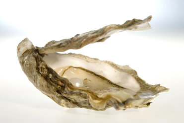 Perle in Auster, Nahaufnahme - NHF00563