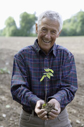 Man Holding a Beech seedling, close-up - TCF00116