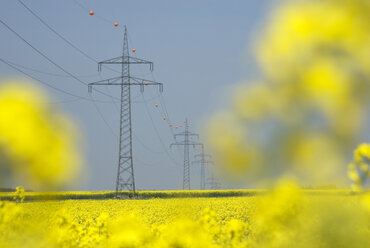 Germany, Bavaria, Rape field and Electric pylons - GNF00936