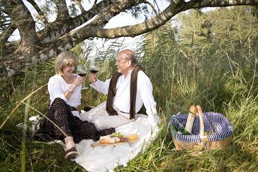 Älteres Paar beim Picknick - MAEF00554