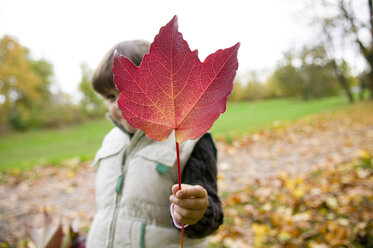 Mädchen (4-5) im Park hodig Herbstblatt, Portrait - CKF00179