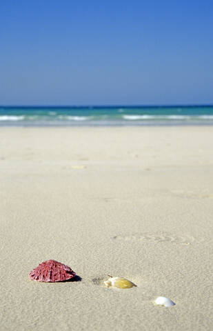 VAE, Dubai, Jumeirah Beach, Muscheln im Sand, lizenzfreies Stockfoto