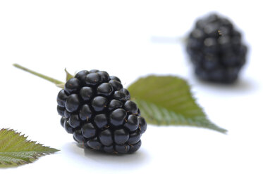 Fresh blackberries, close-up - ASF03477