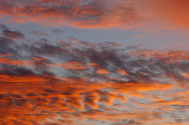 Clouds in sky at sun rise - SMF00195