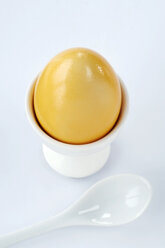 Easter egg in egg cup, close-up - CRF01349
