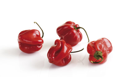 Rote Habanero-Paprika, Nahaufnahme - 07368CS-U