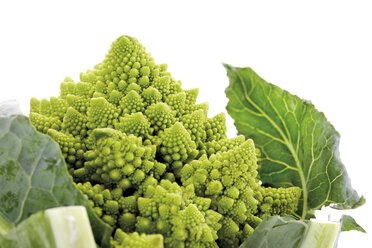 Nahaufnahme von Romanesco - 07610CS-U