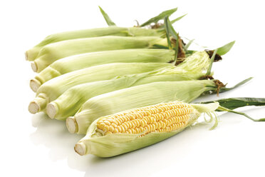 Fresh corn cobs, close-up - 07602CS-U