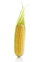 Fresh corn cob, close-up - 07601CS-U