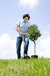 Man planting tree, close-up - LDF00504