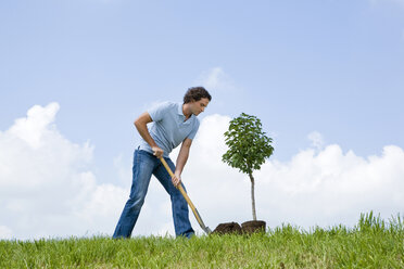 Man planting tree, close-up - LDF00503