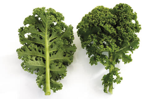 Kale, close-up stock photo