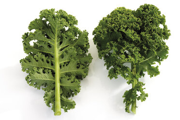 Kale, close-up - 07768CS-U