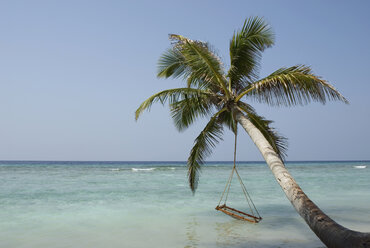 Maldives, Hammock on palm tree - GNF00965