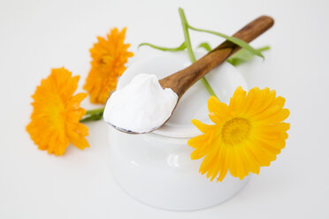 Marigolds and marigold cream on a cream pot, close-up - GWF00530