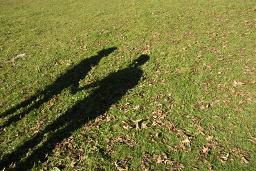 Shadows against grass - NHF00679