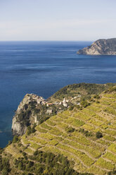 Italy, Liguria, Corniglia, Coast area - MRF00954
