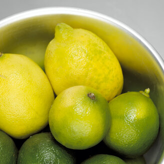 Zitronen und Limetten in einer Schale, Ansicht von oben - CHKF00538