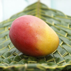 Mango im Korb - CHK00729