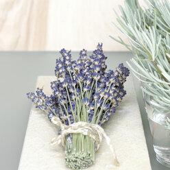 Lavendelbündel (Lavandula angustifolia) - CHK00719